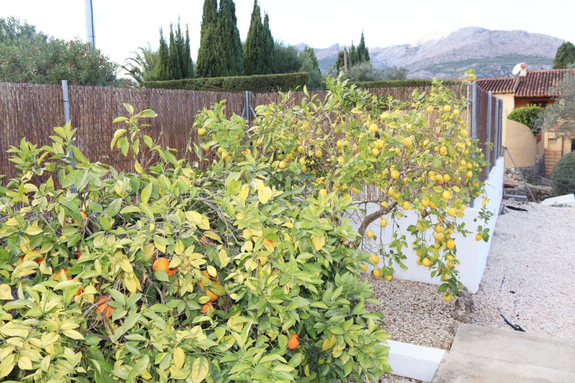 Resale - Villa - Orba - Inland
