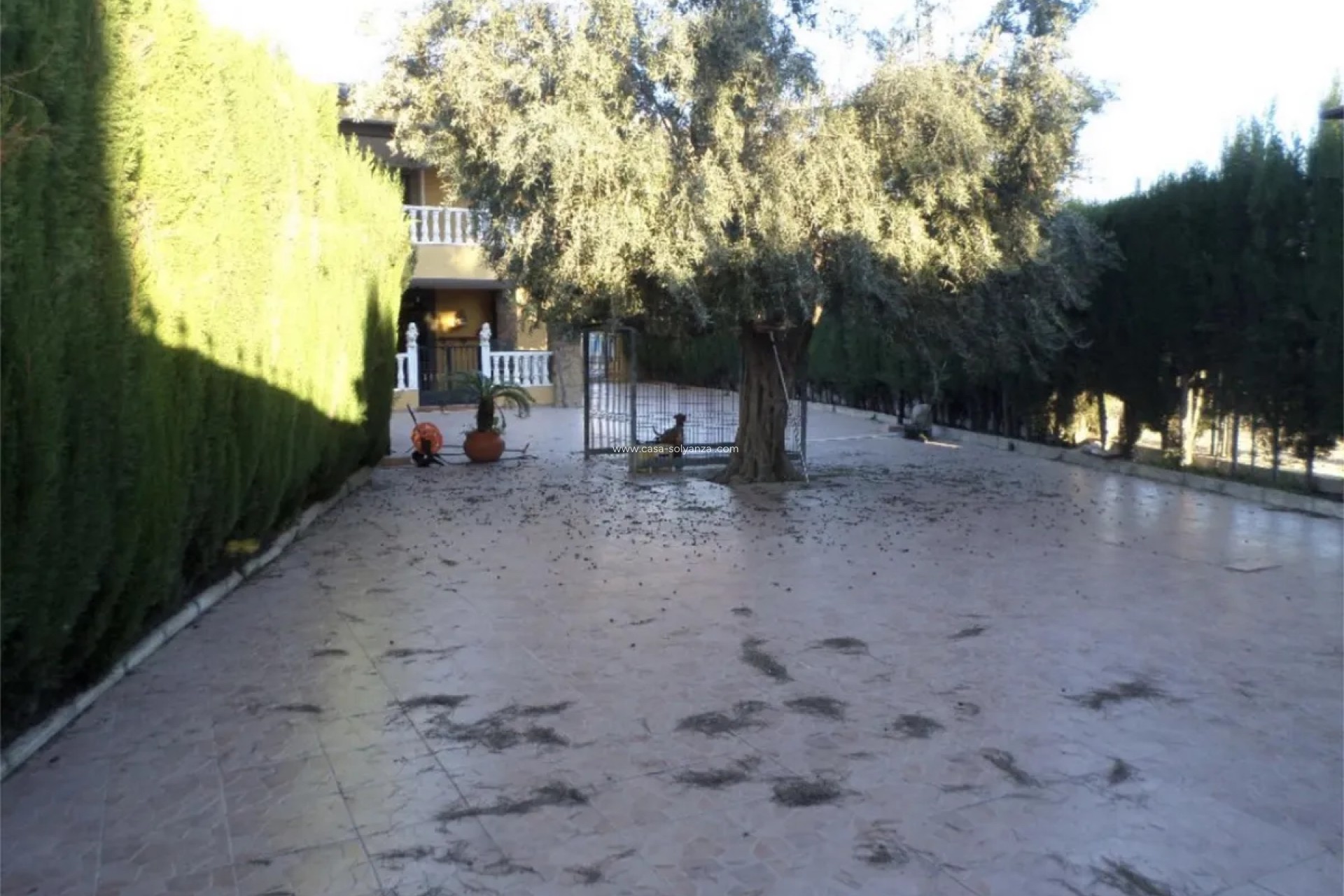 Resale - Villa - Orihuela - CAMPO