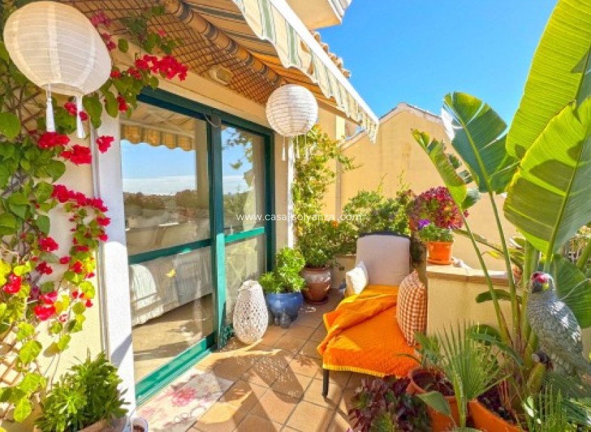 Resale - Villa - Orihuela Costa - 0