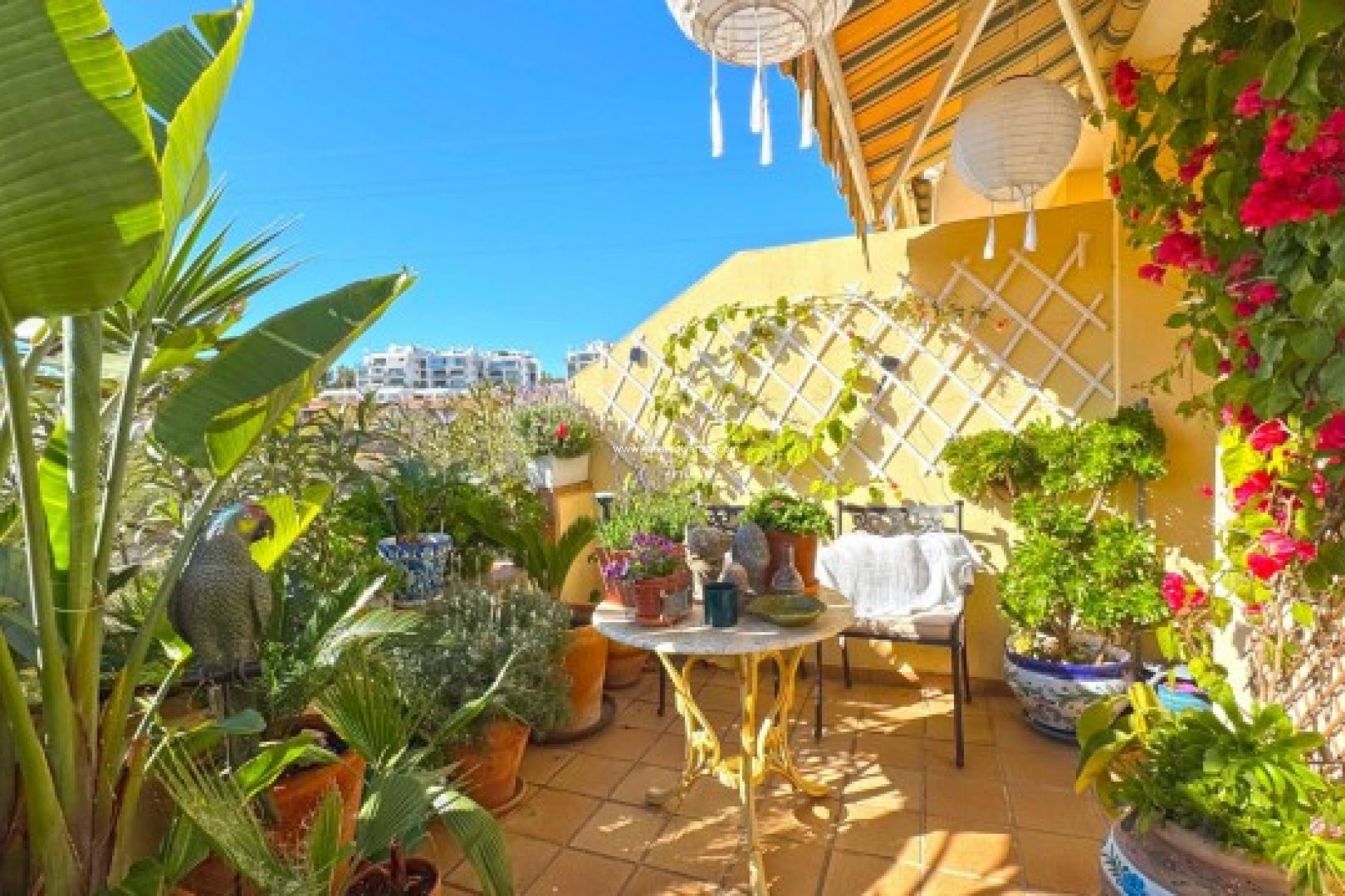 Resale - Villa - Orihuela Costa - 0