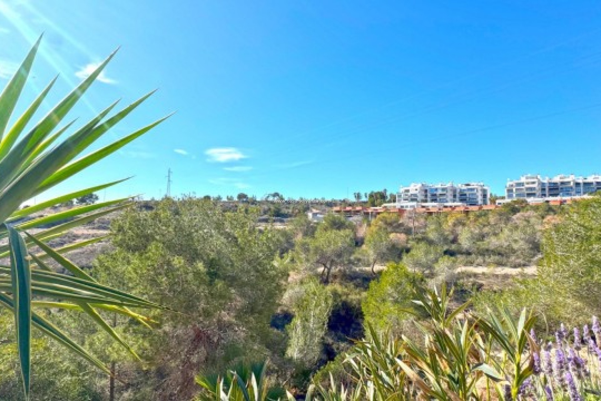 Resale - Villa - Orihuela Costa - 0