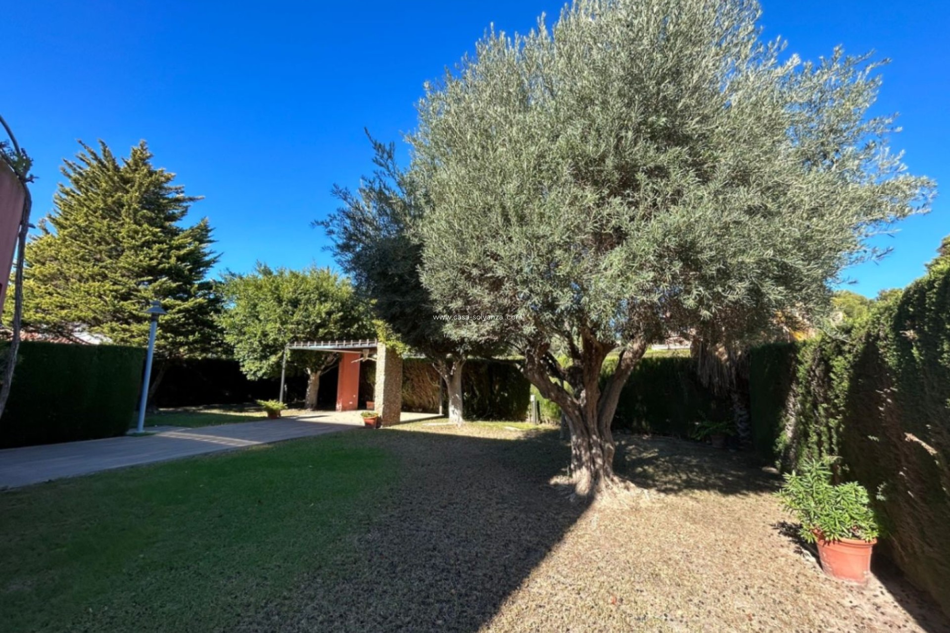 Resale - Villa - Orihuela - Dehesa de Campoamor