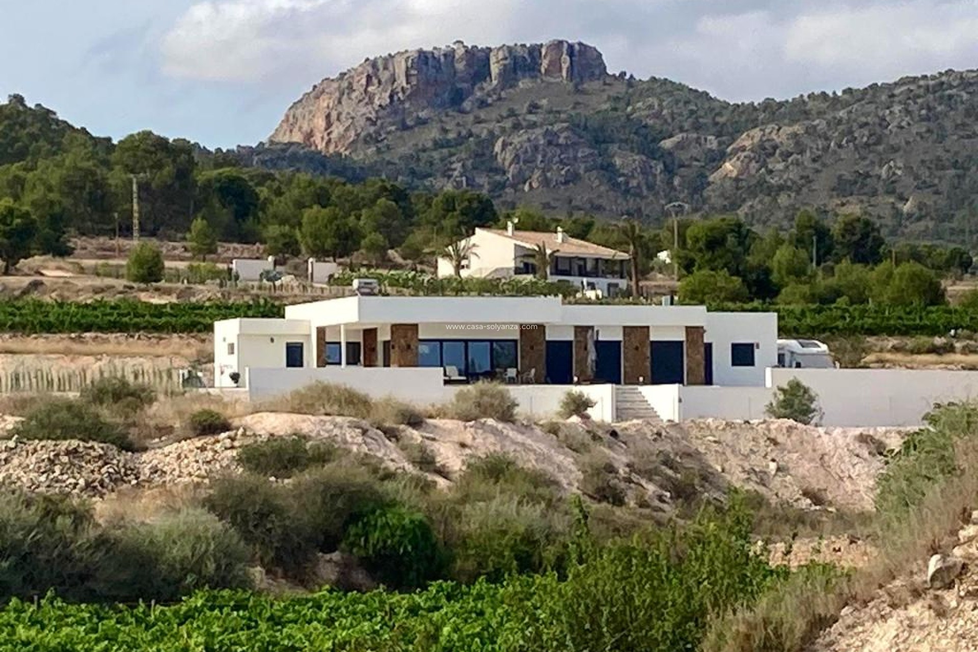 Resale - Villa - Pinoso - Inland