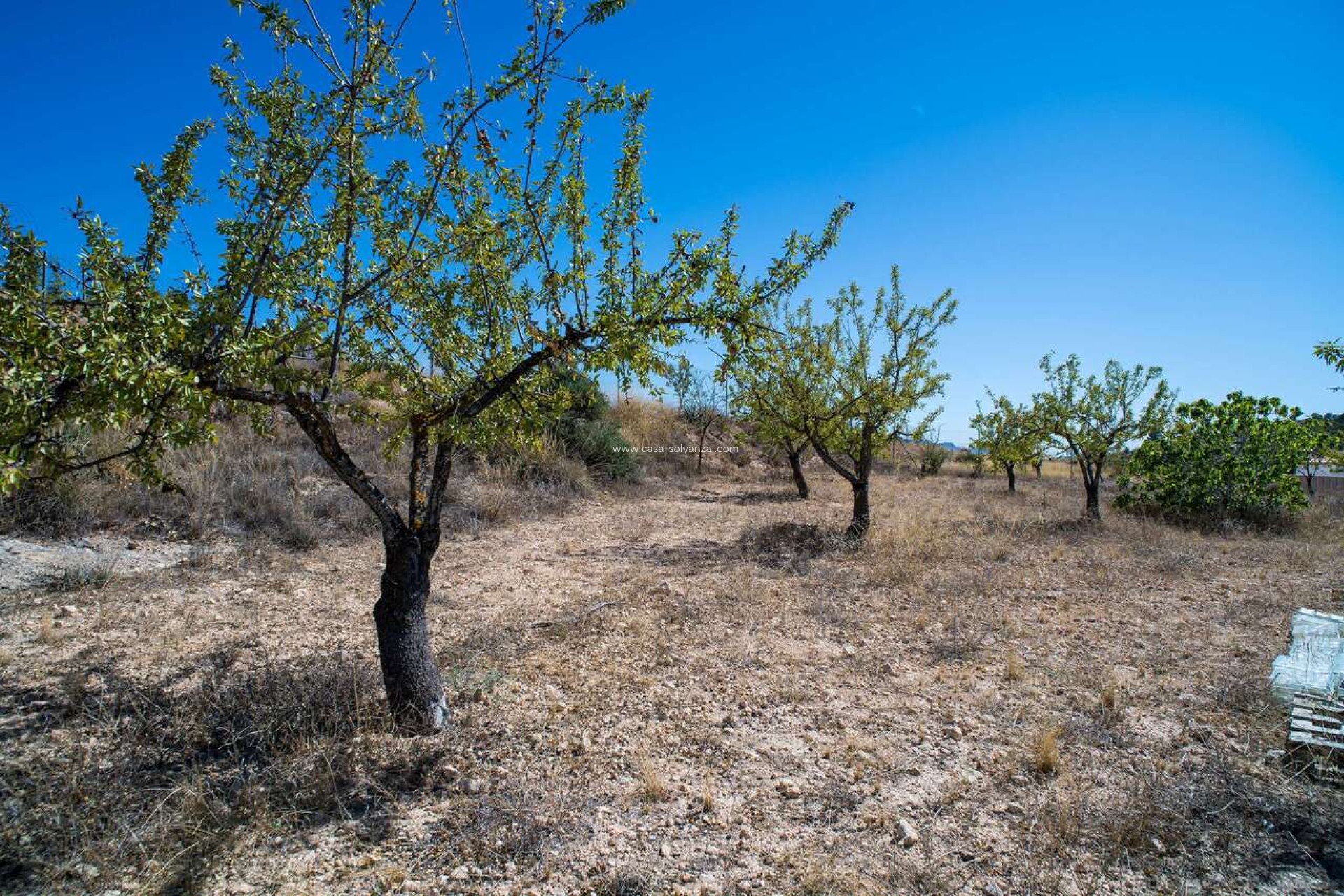 Resale - Villa - Pinoso - Inland