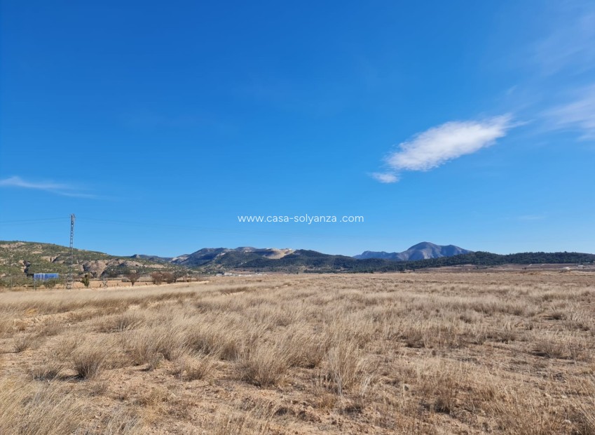 Resale - Villa - Pinoso - Inland