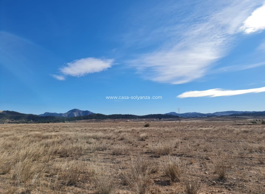 Resale - Villa - Pinoso - Inland