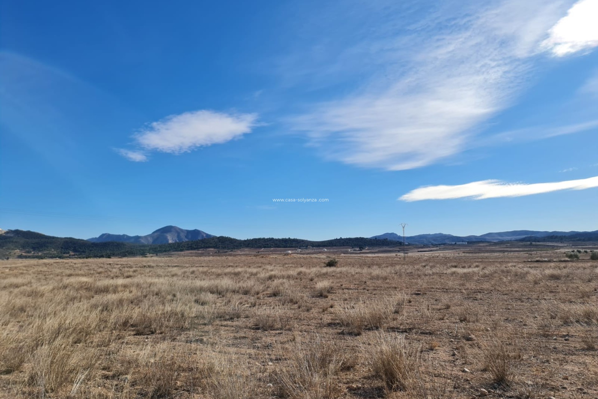 Resale - Villa - Pinoso - Inland