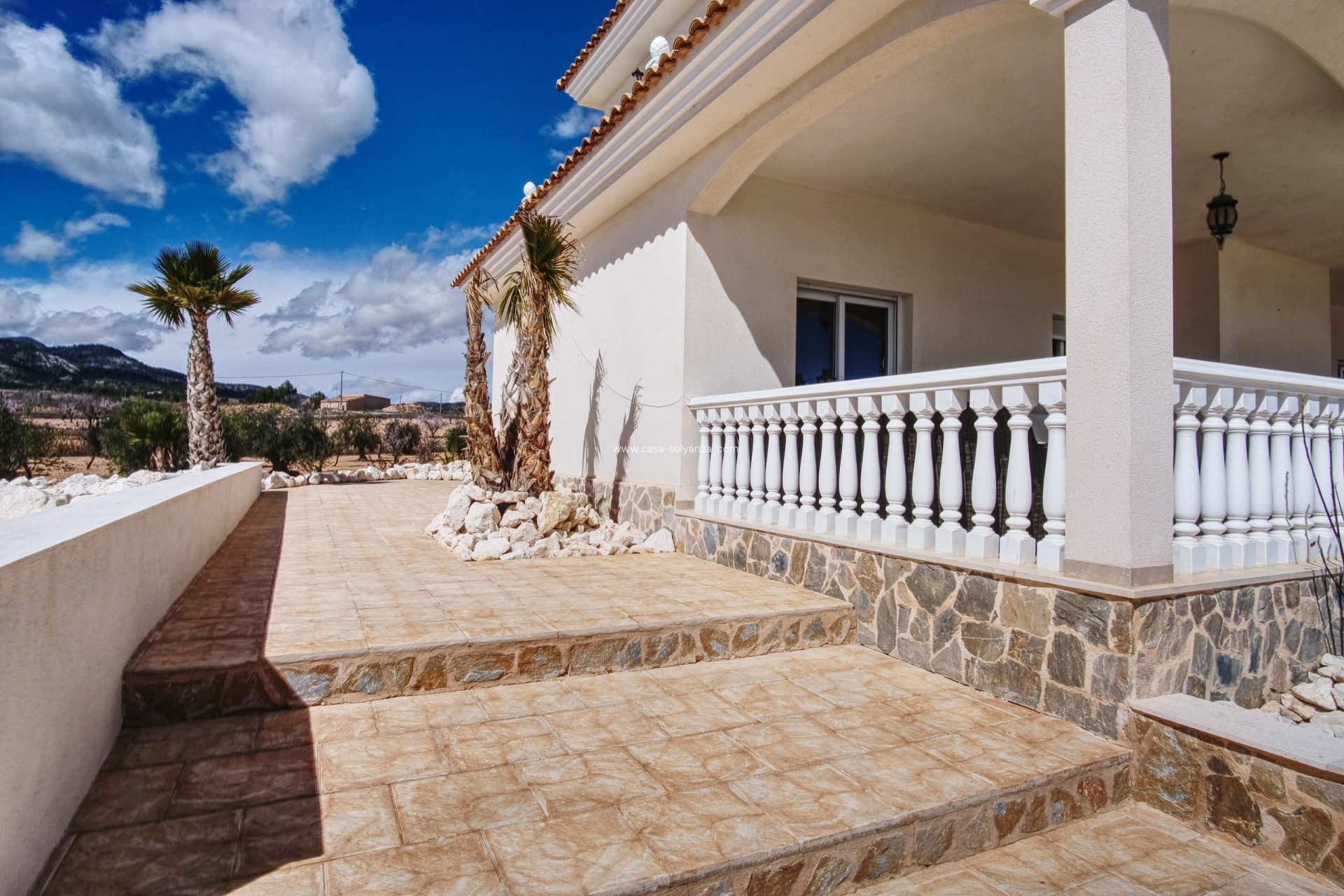 Resale - Villa - Pinoso - Nog niet