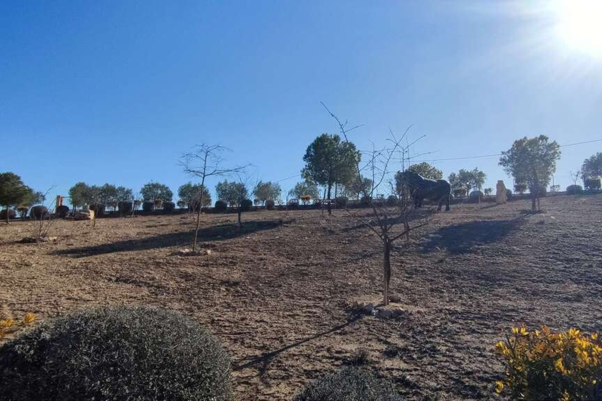 Resale - Villa - Pinoso