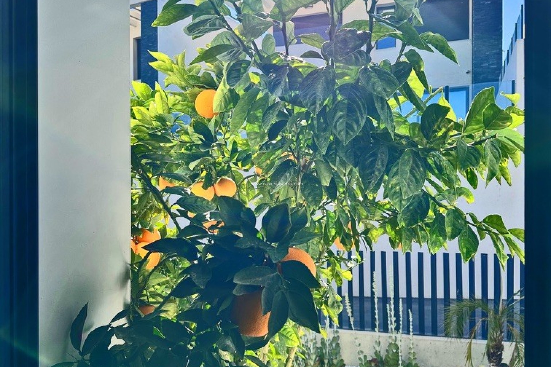 Resale - Villa - Rojales - Inland