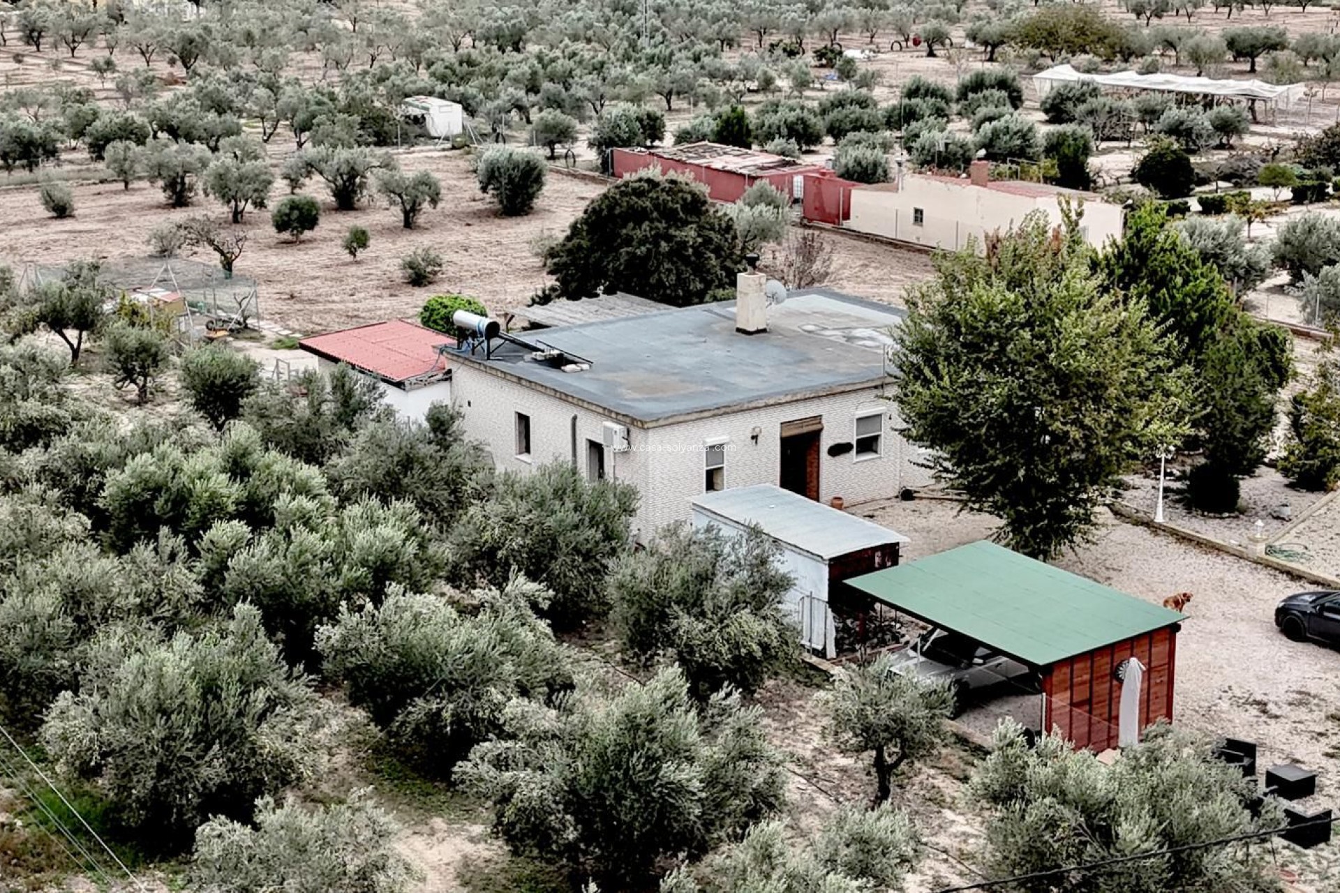 Resale - Villa - Salinas - Inland