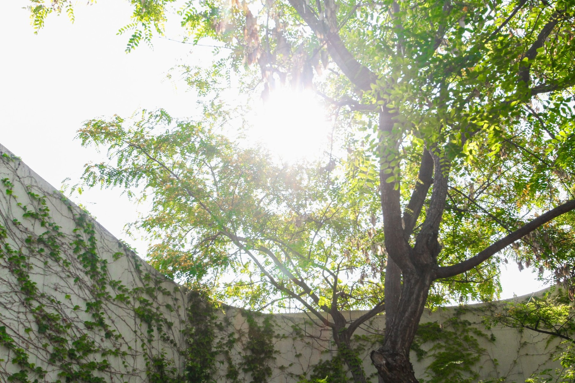 Resale - Villa - San Vicente del Raspeig - Inland