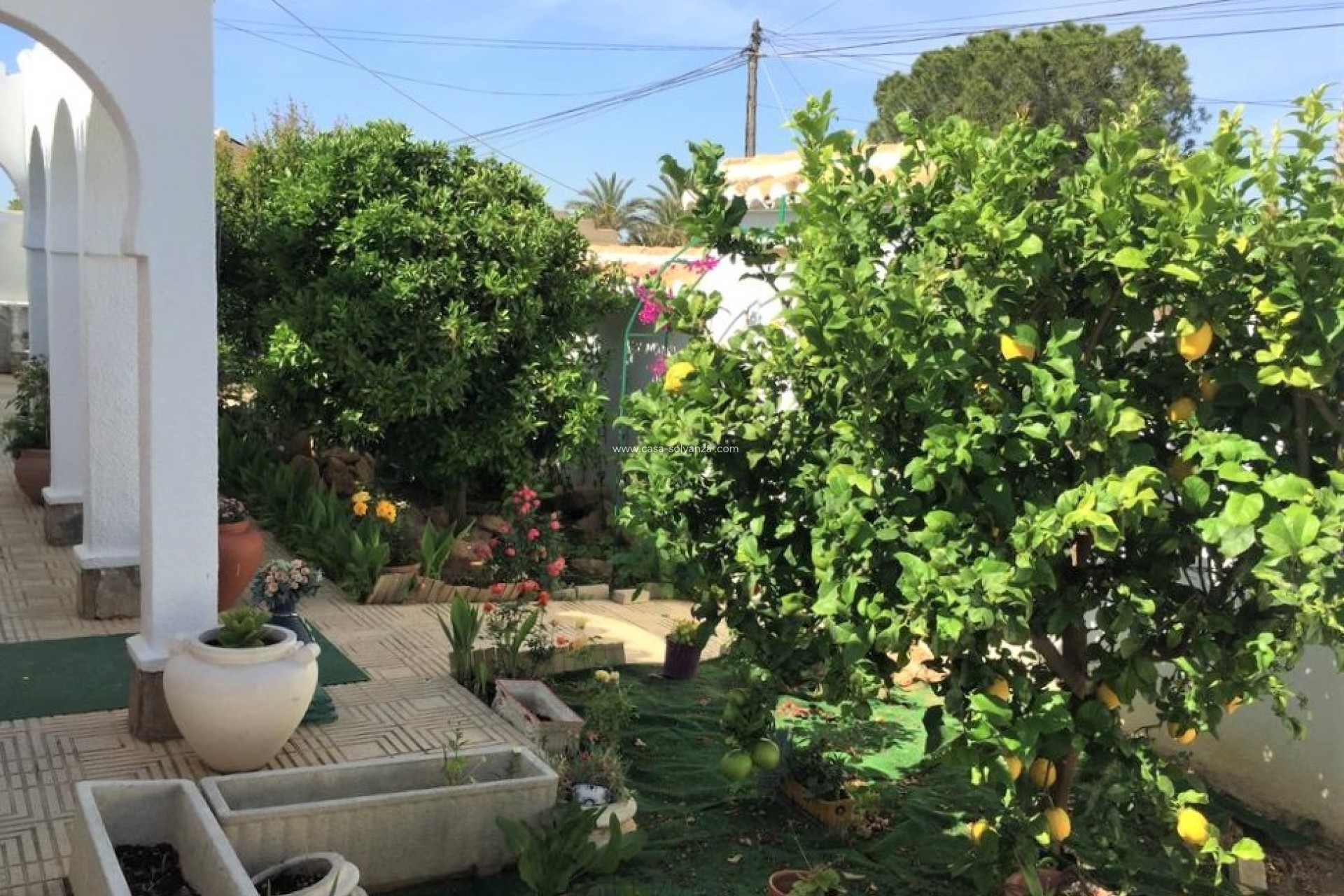 Resale - Villa - Torrevieja - Costa Blanca