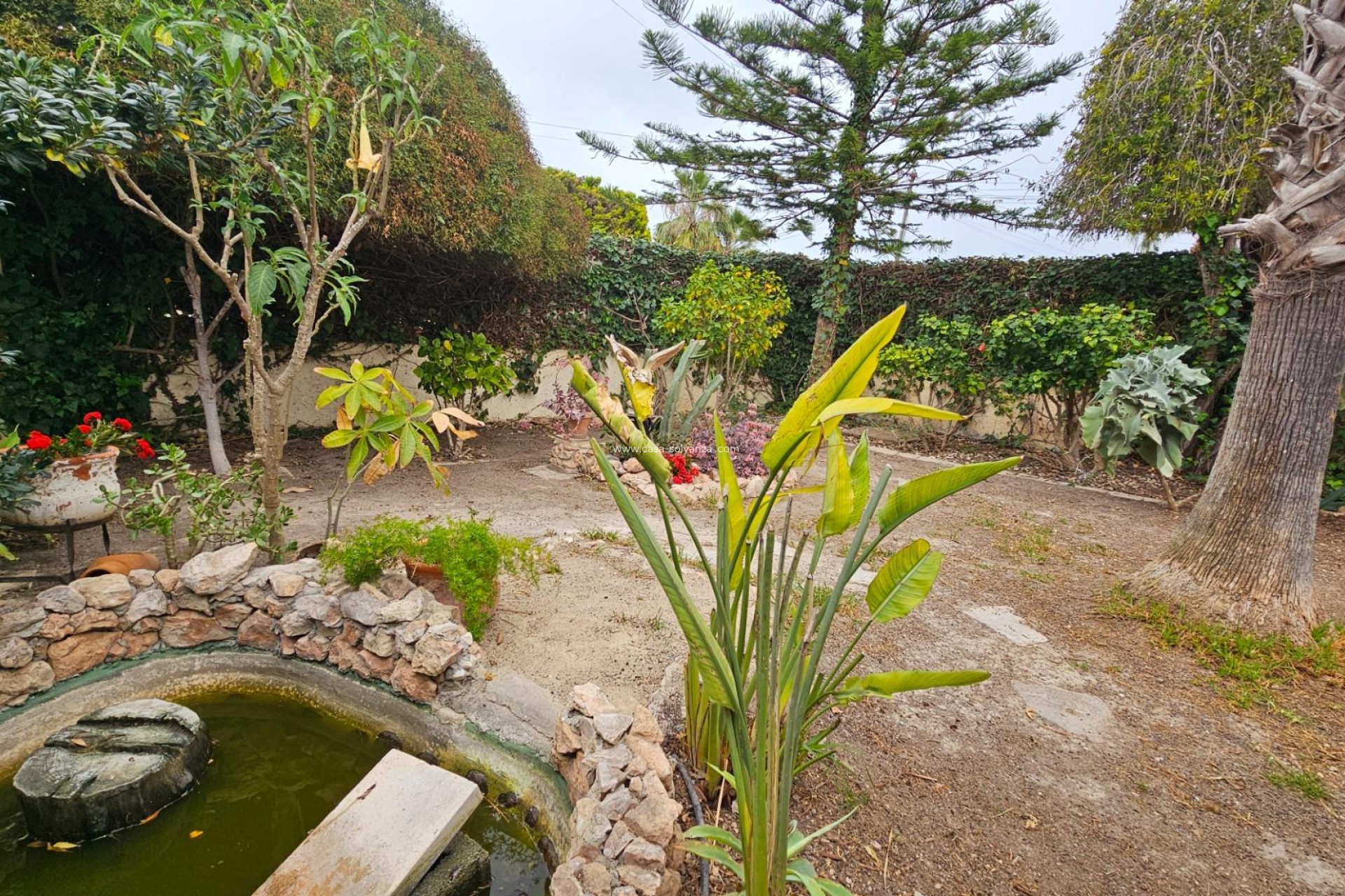 Resale - Villa - Torrevieja - El chaparral