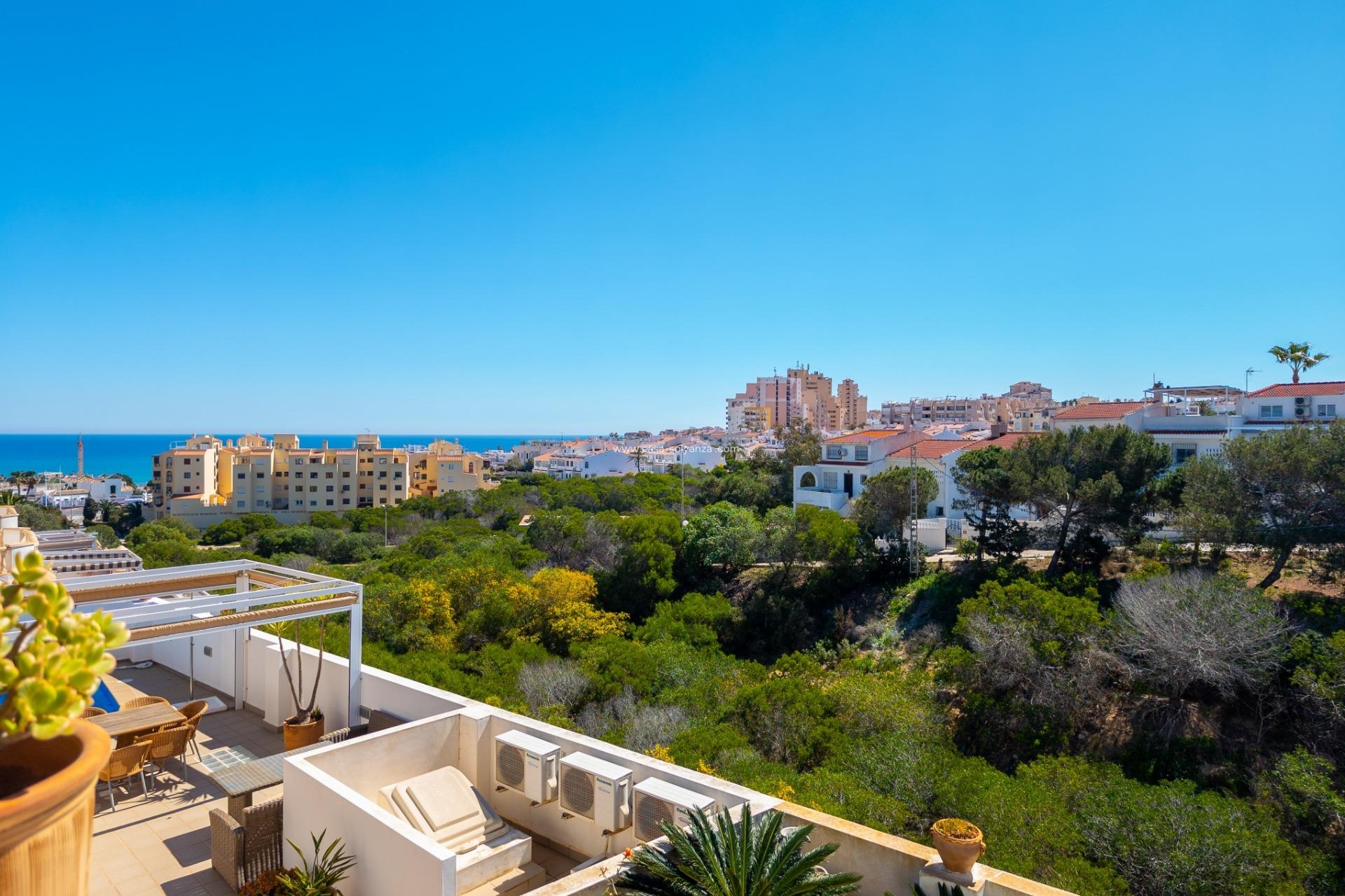 Resale - Villa - Torrevieja - La Mata