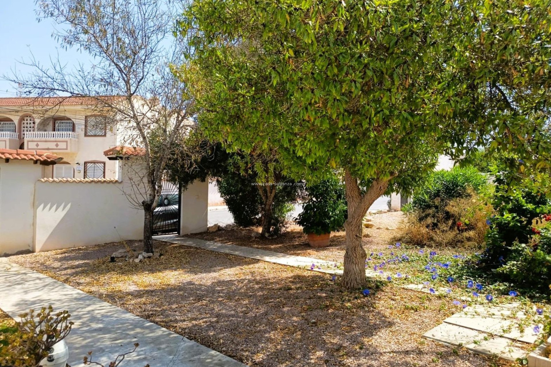 Resale - Villa - Torrevieja - La Siesta