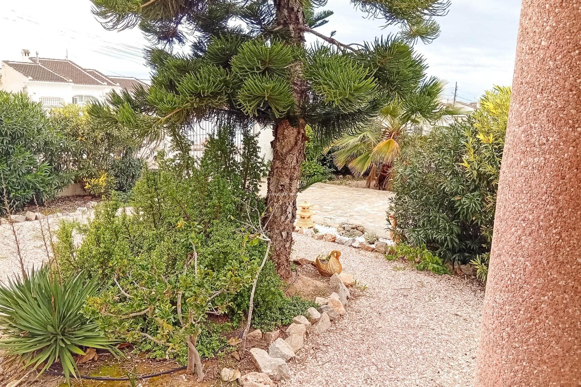 Resale - Villa - Torrevieja - La Siesta