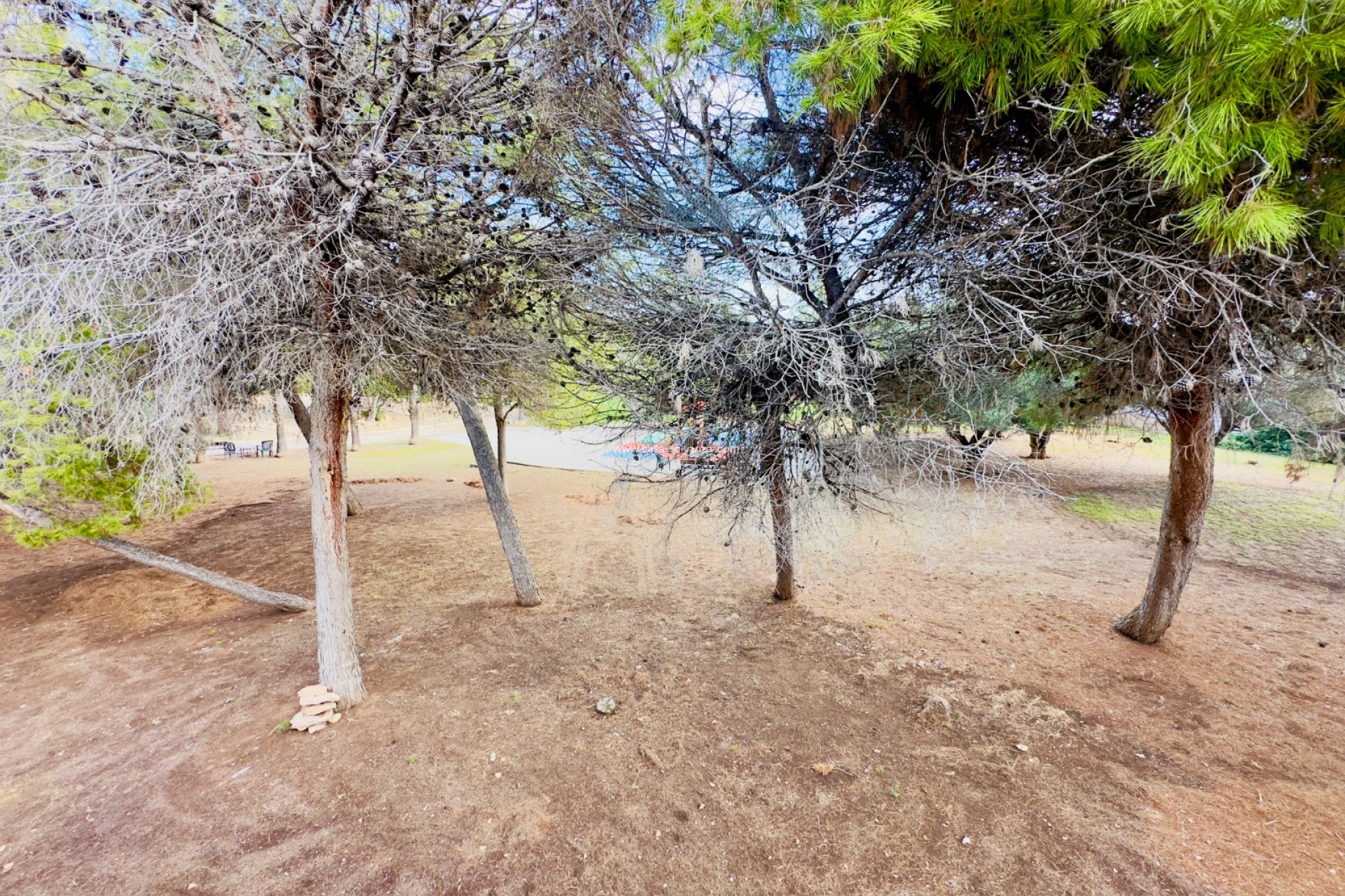 Resale - Villa - Torrevieja - Los Altos