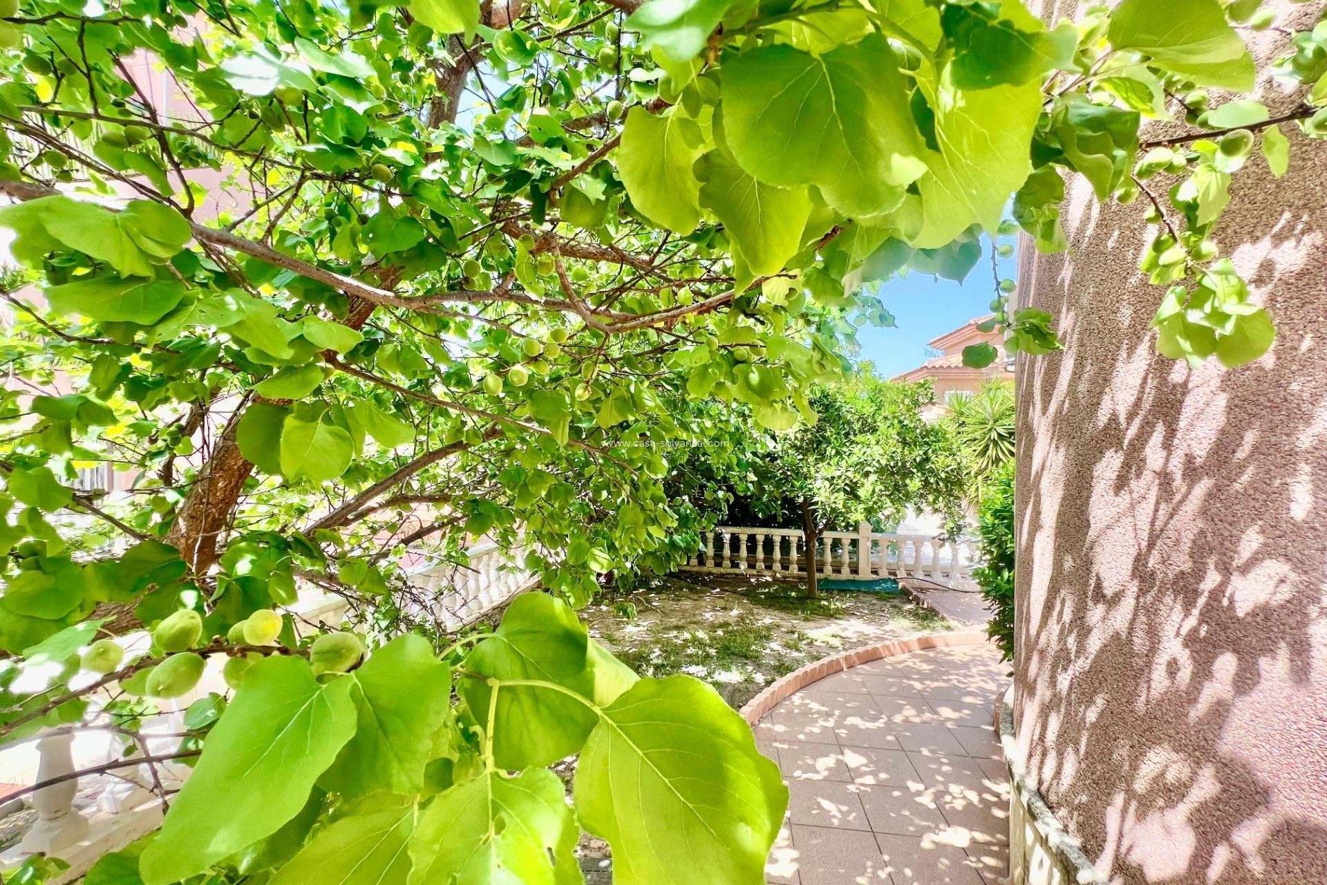 Resale - Villa - Torrevieja - Los Balcones