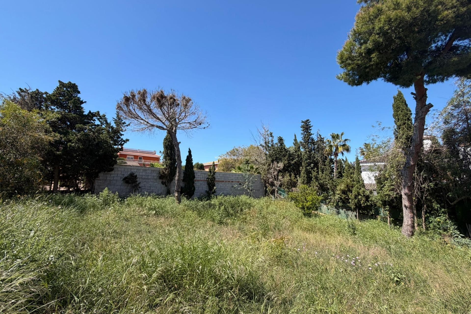 Resale - Villa - Torrevieja - Los Balcones