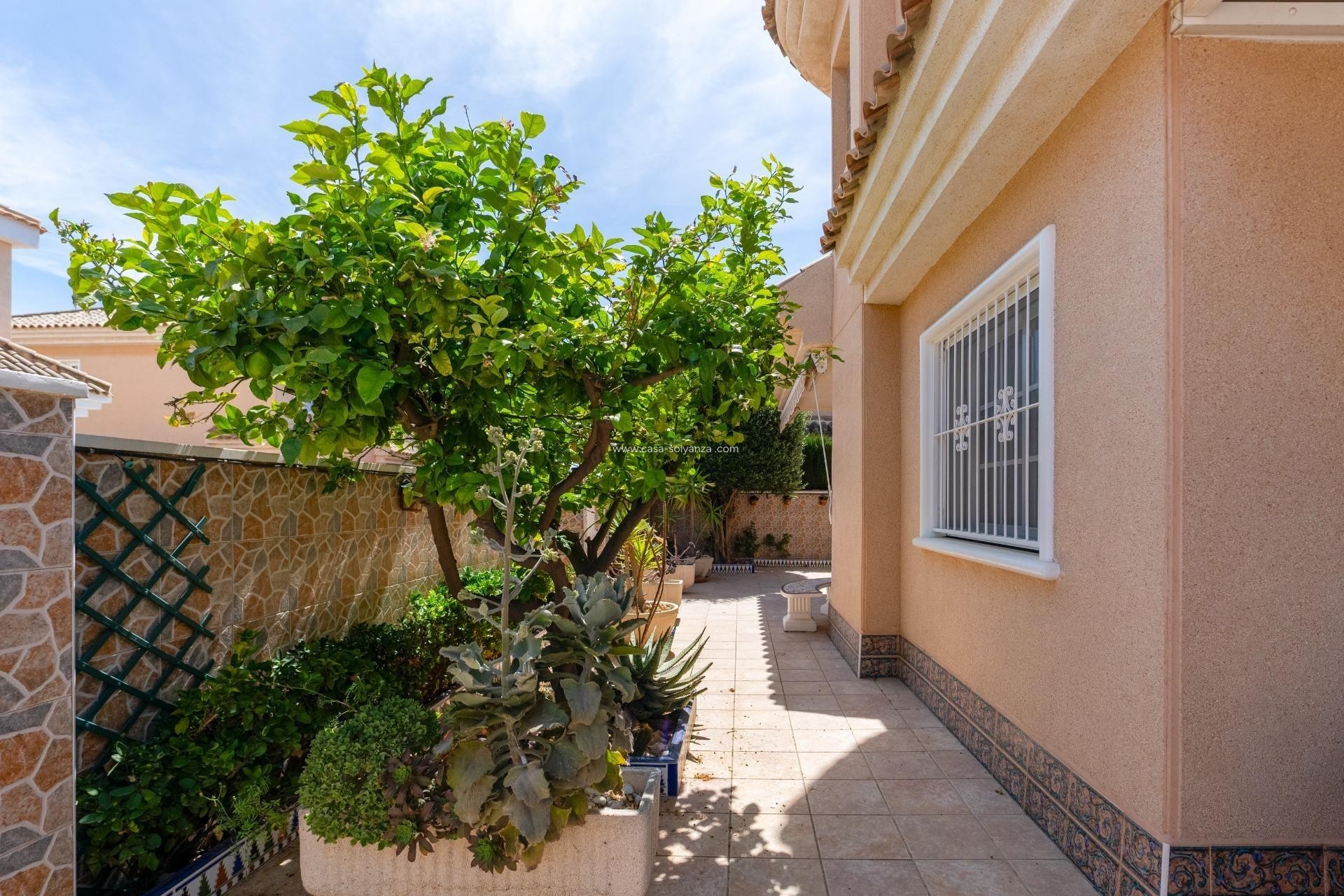 Resale - Villa - Torrevieja - Los Balcones