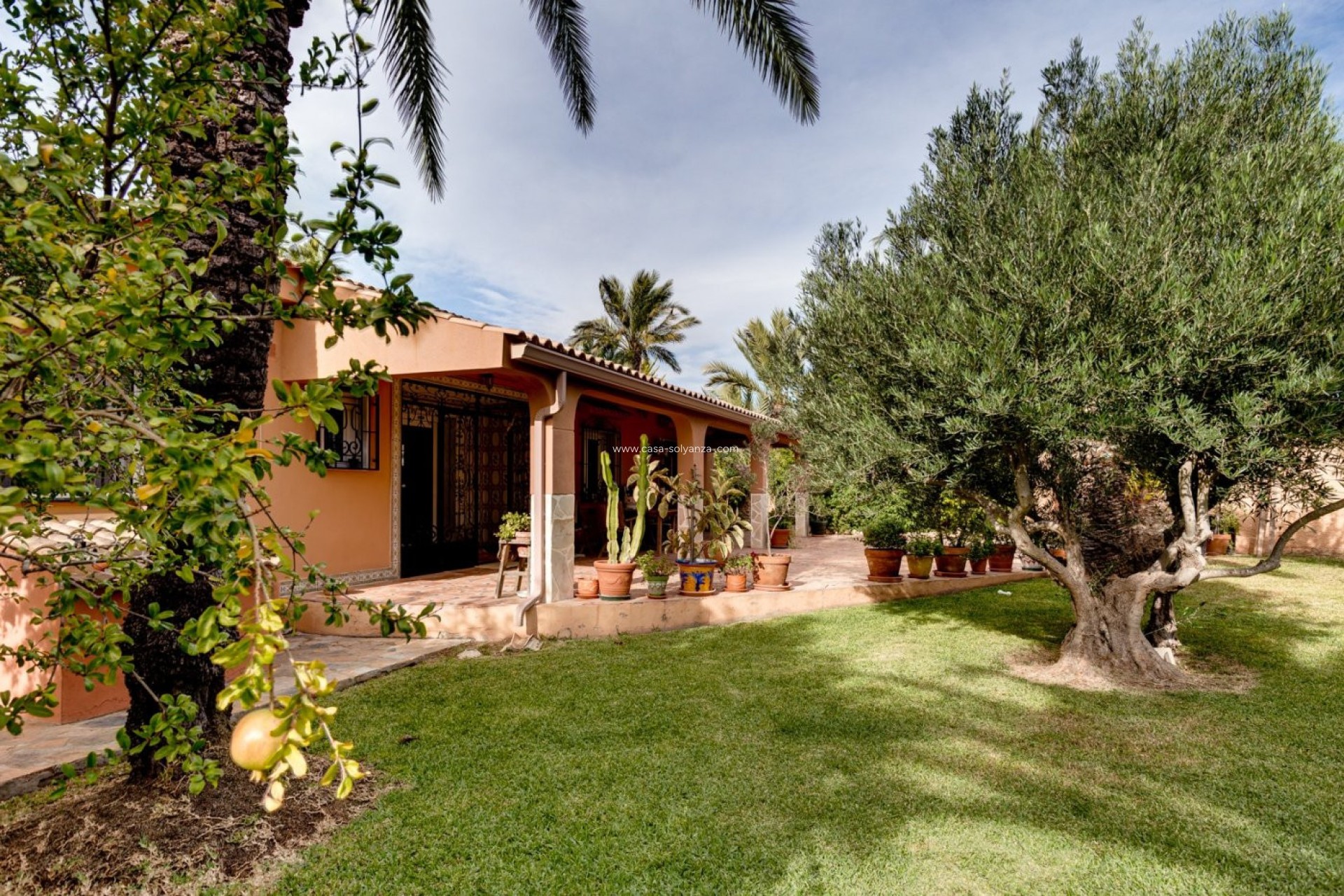 Resale - Villa - Torrevieja - San Luis