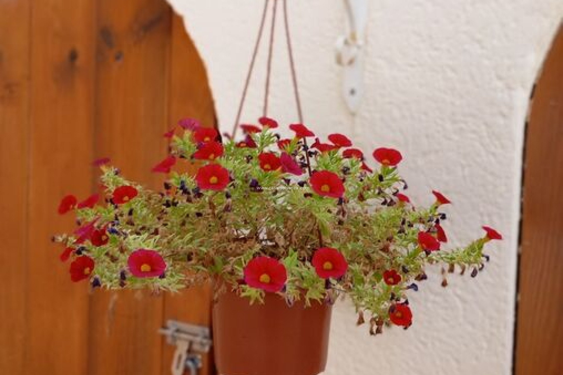 Resale - Villa - Villamartin - Costa Blanca