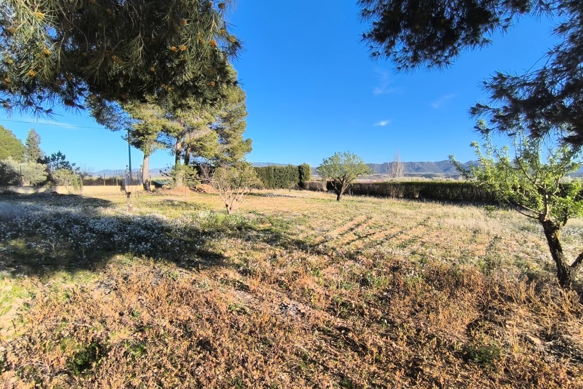 Resale - Villa - Yecla - Inland