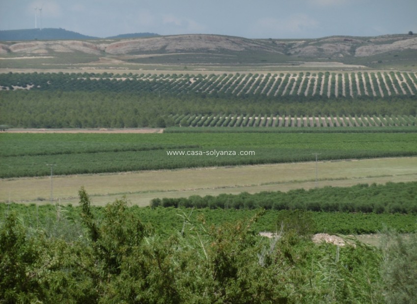 Resale - Villa - Yecla - Inland