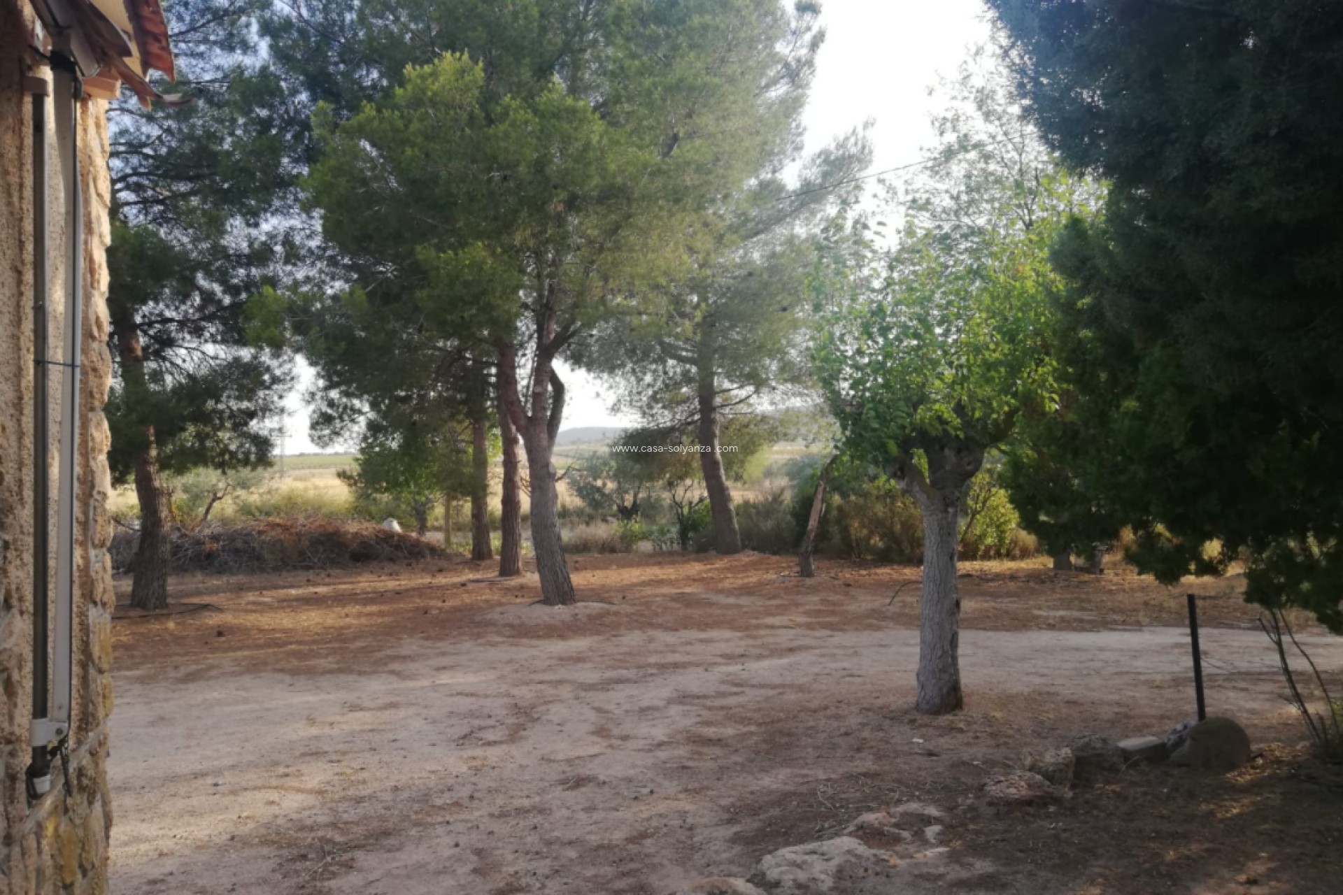 Resale - Villa - Yecla - Inland