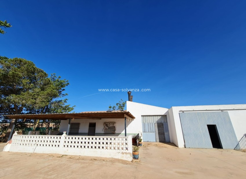 Resale - Villa - Yecla - Inland