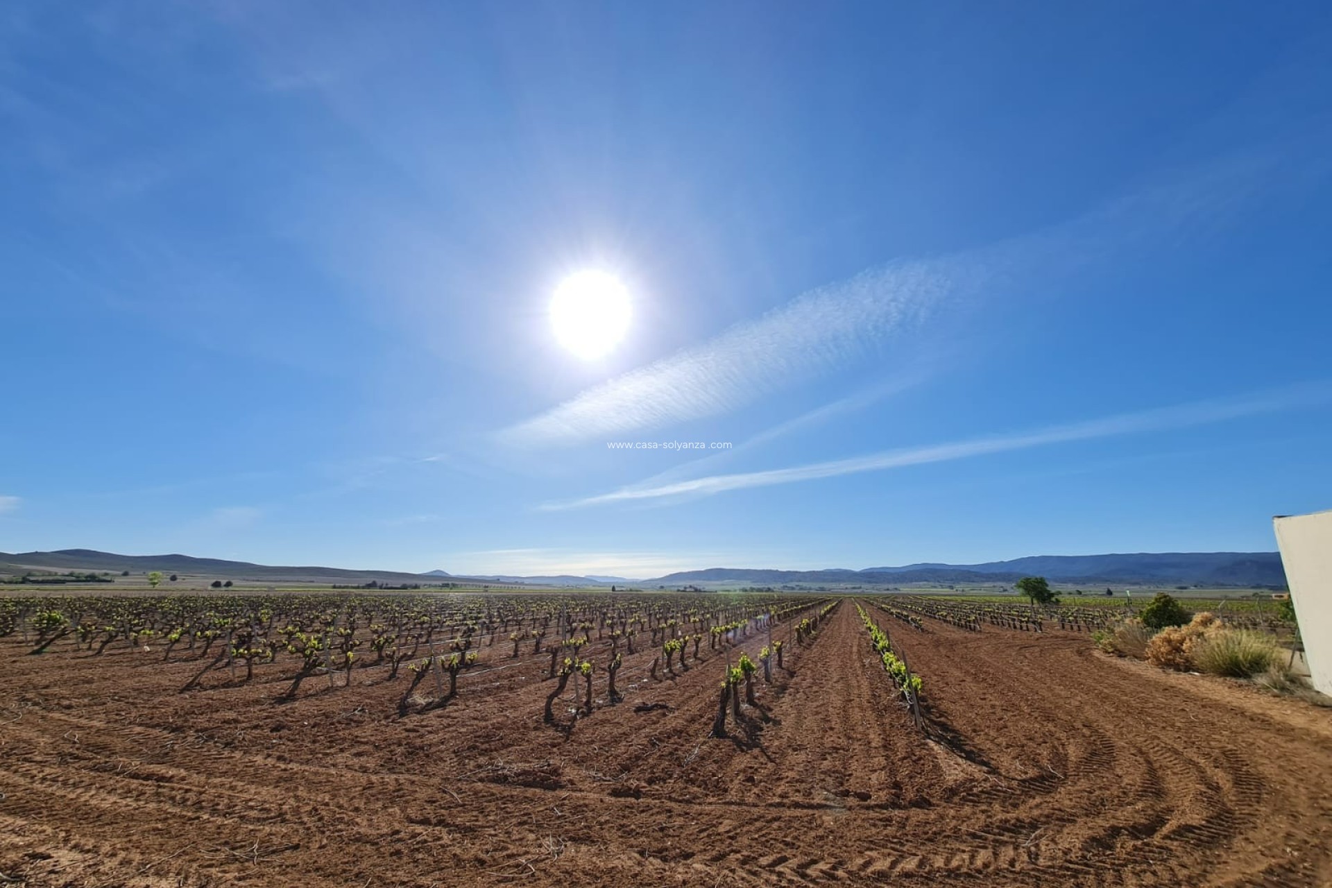 Resale - Villa - Yecla - Inland