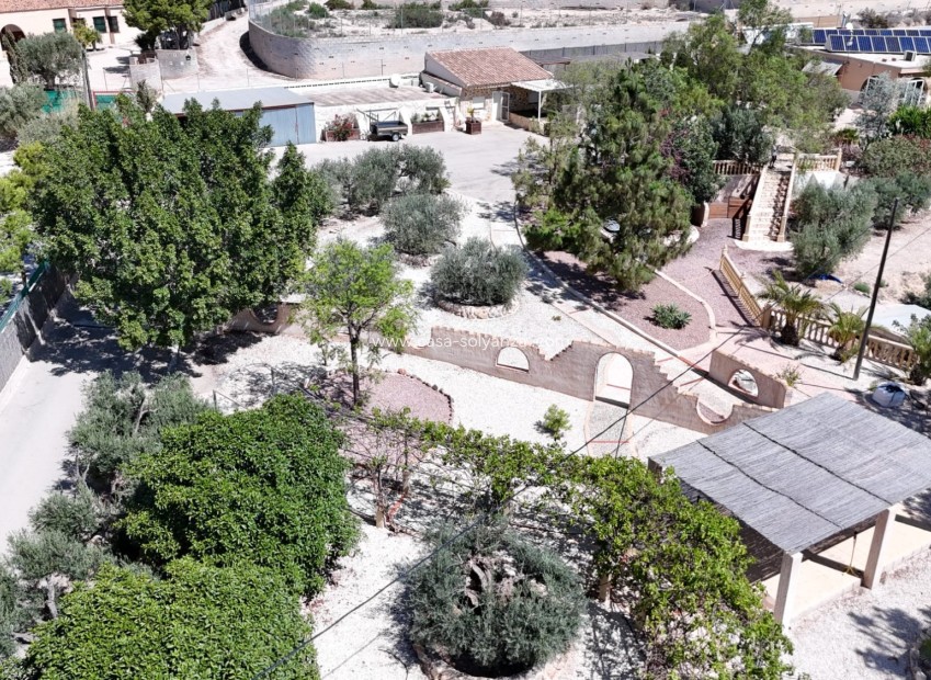 Reventa - 2. Town house - Crevillente - Crevillent