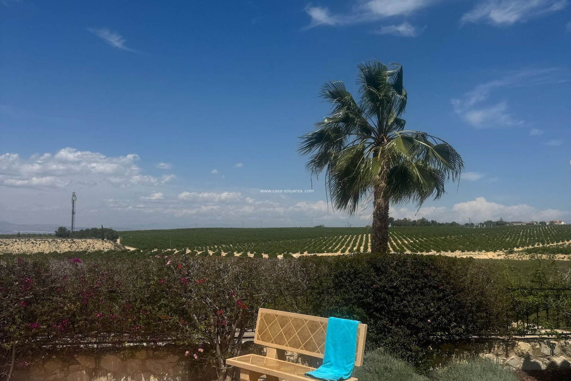 Reventa - Adosado - Algorfa - La Finca Golf Resort