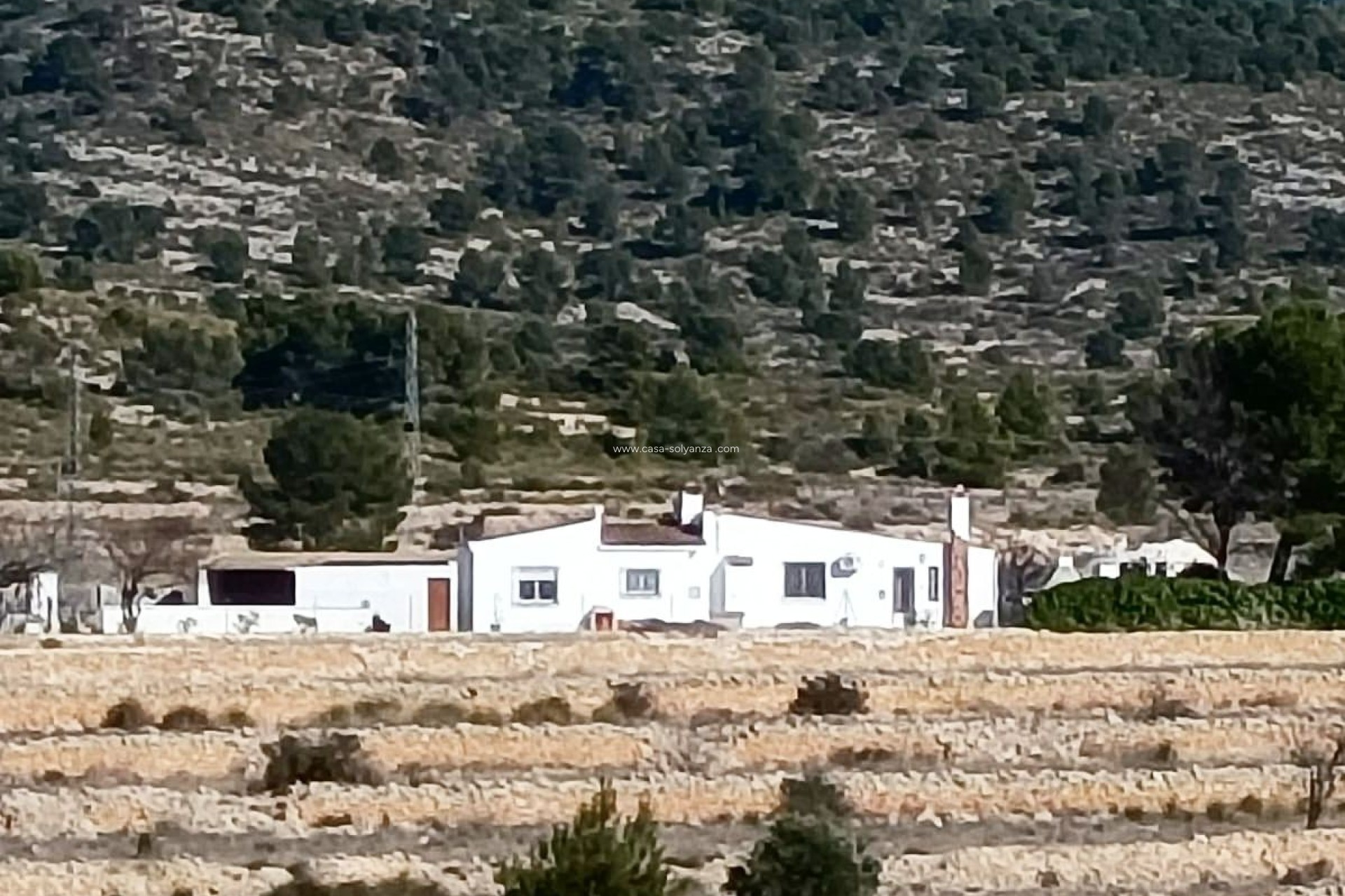 Reventa - Adosado - Monóvar - Inland