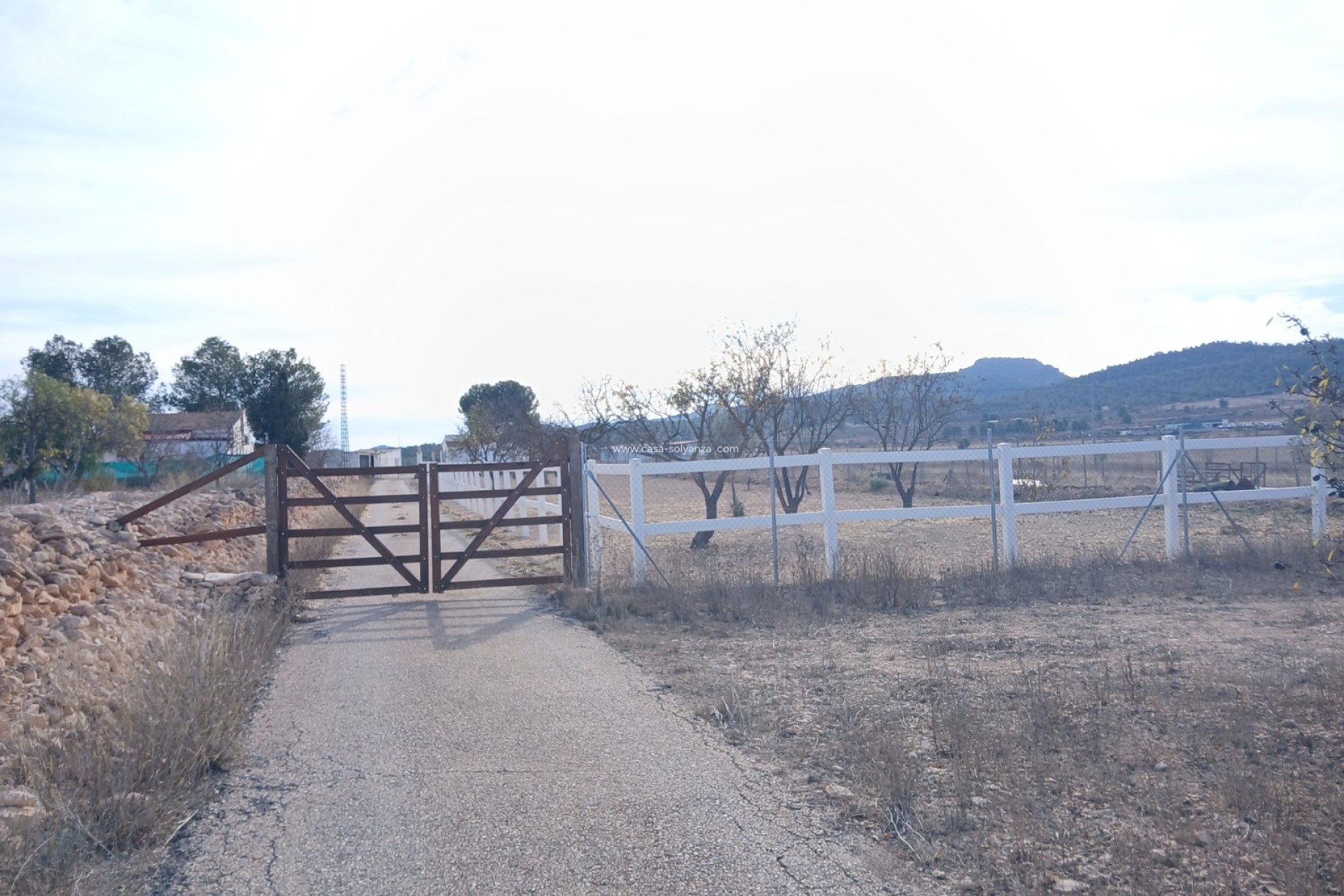 Reventa - Adosado - Monóvar - Inland