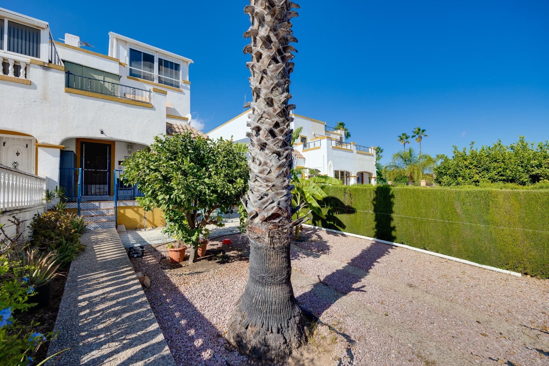 Reventa - Adosado - Orihuela Costa - La Florida