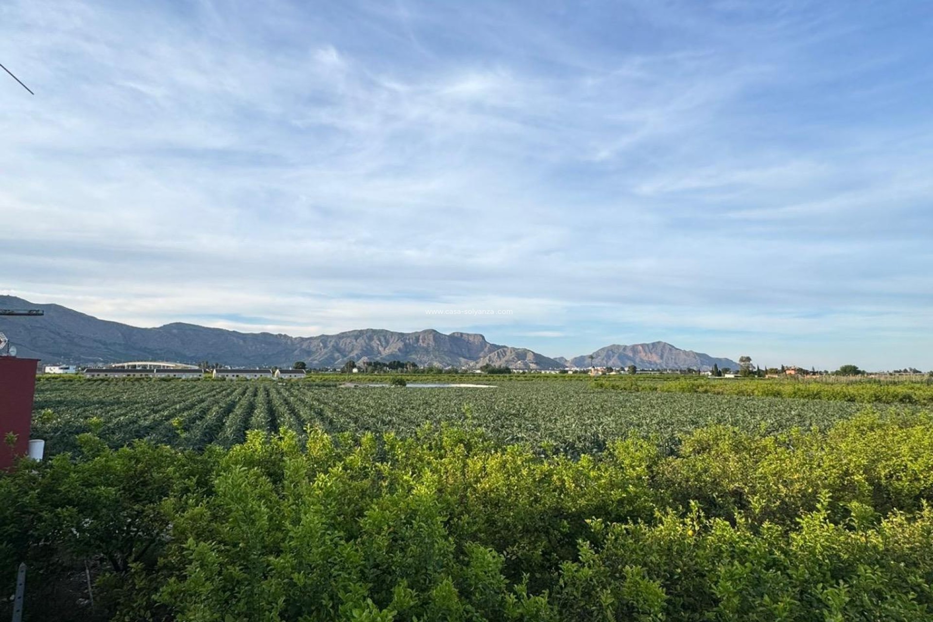 Reventa - Adosado - Orihuela - Desamparados