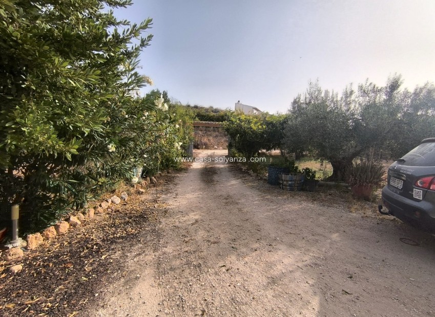 Reventa - Adosado - Pinoso - Inland