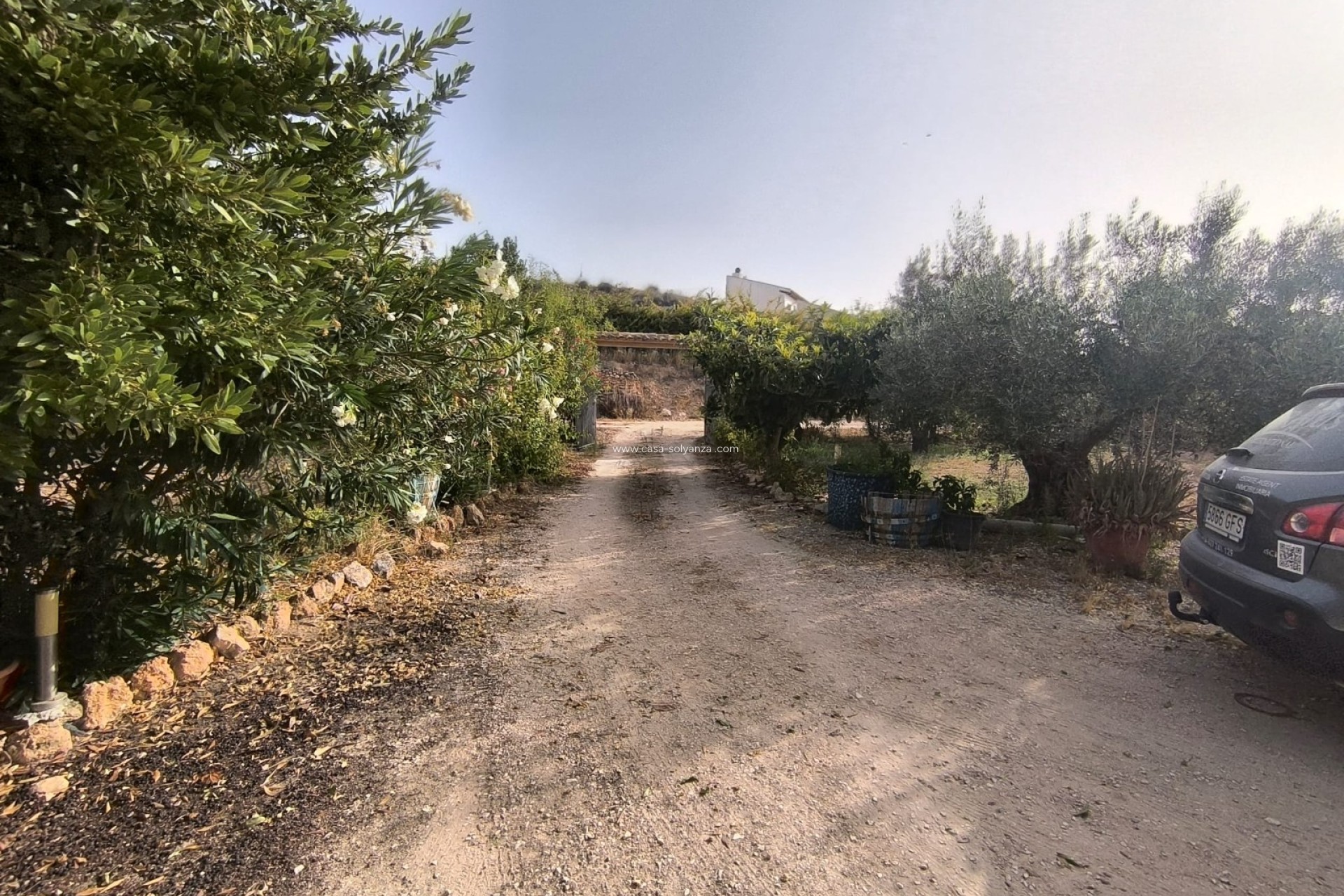 Reventa - Adosado - Pinoso - Inland