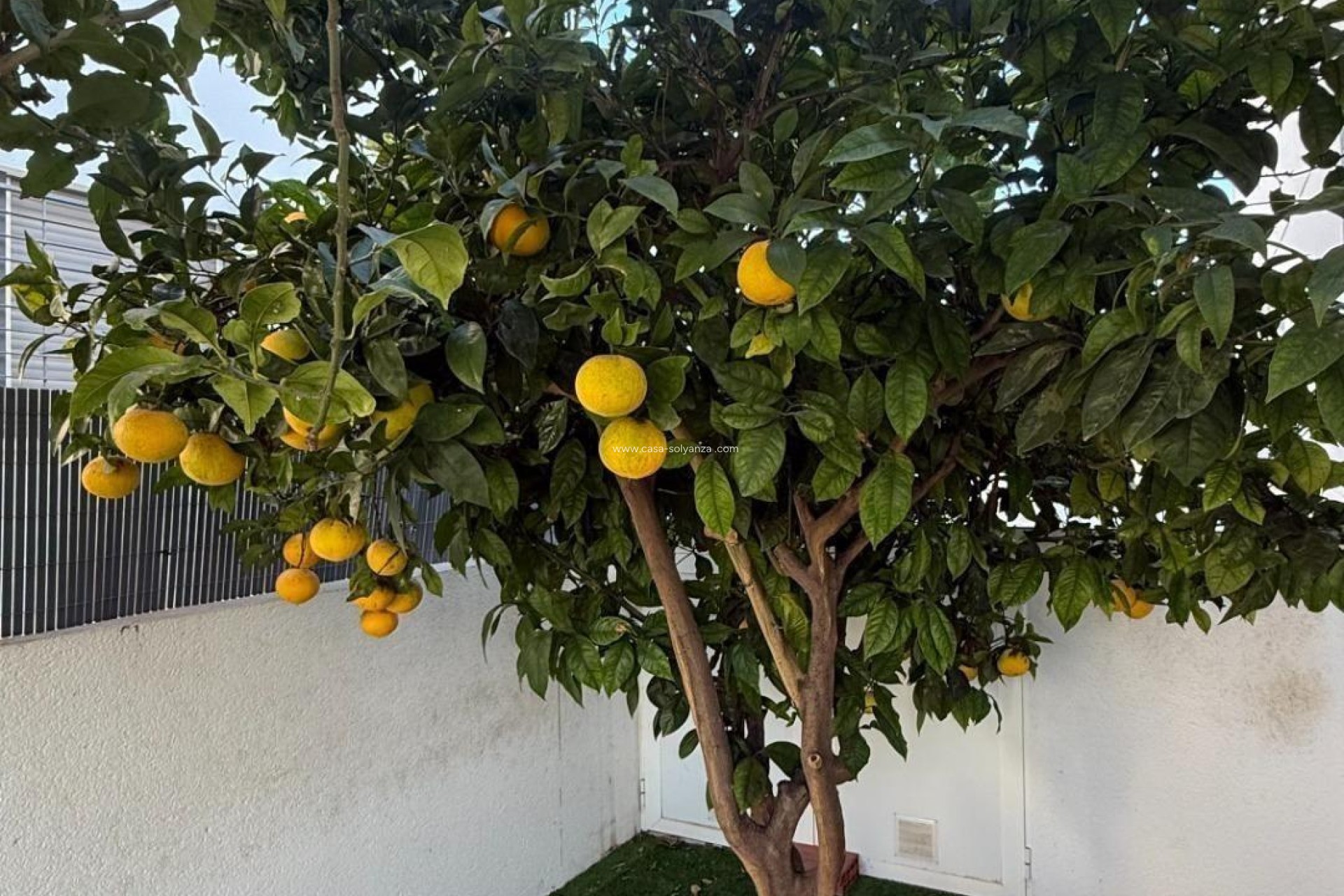 Reventa - Adosado - Torrevieja - Aguas nuevas
