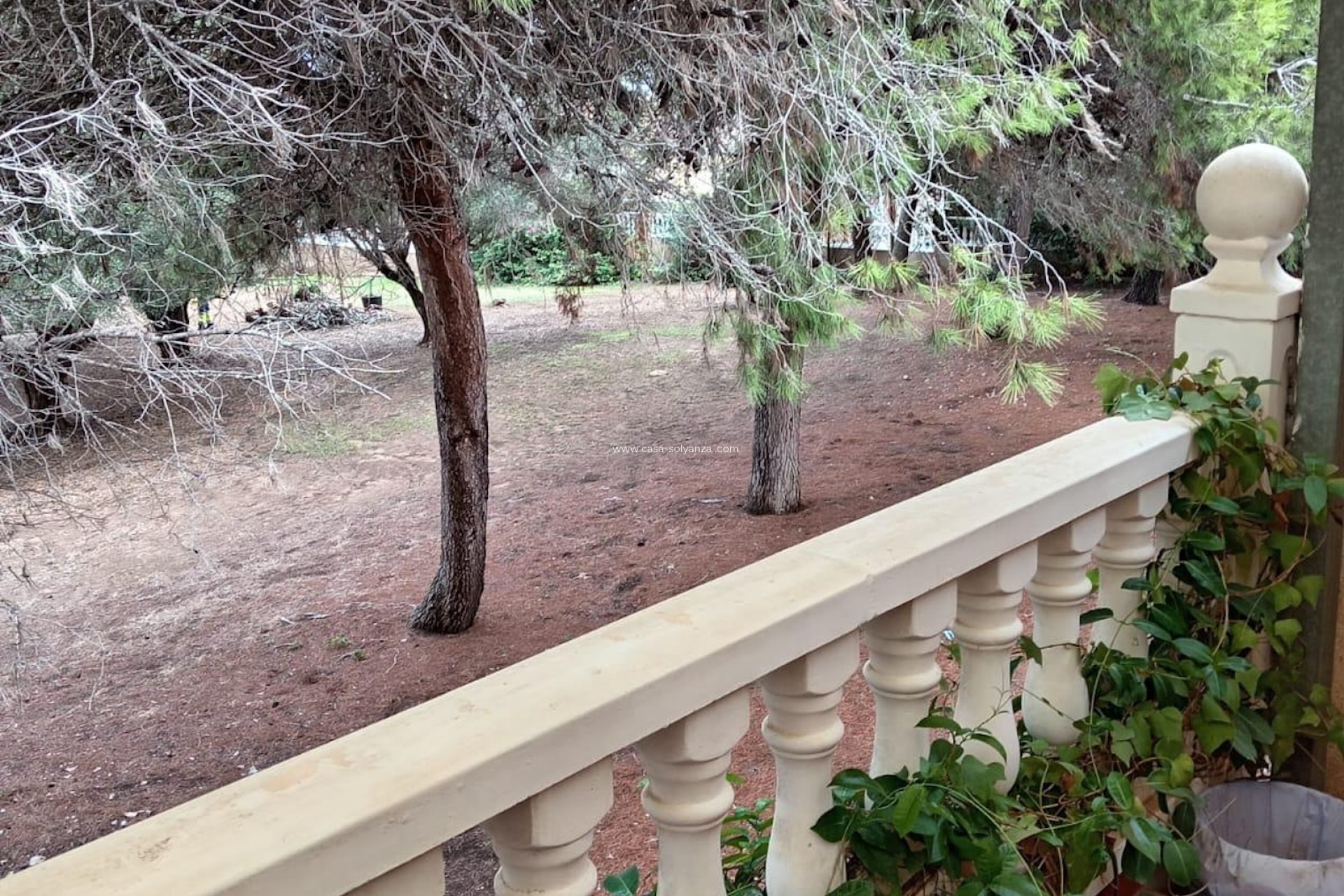 Reventa - Adosado - Torrevieja - Costa Blanca