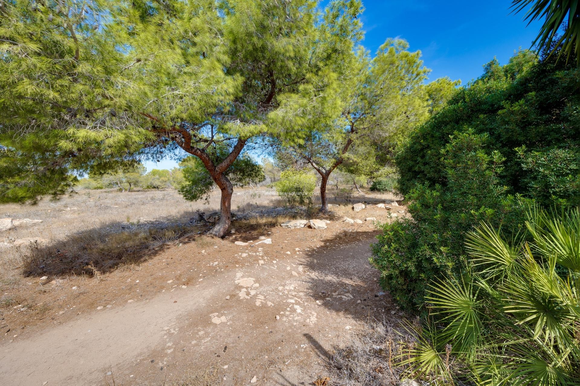 Reventa - Adosado - Torrevieja - La Siesta