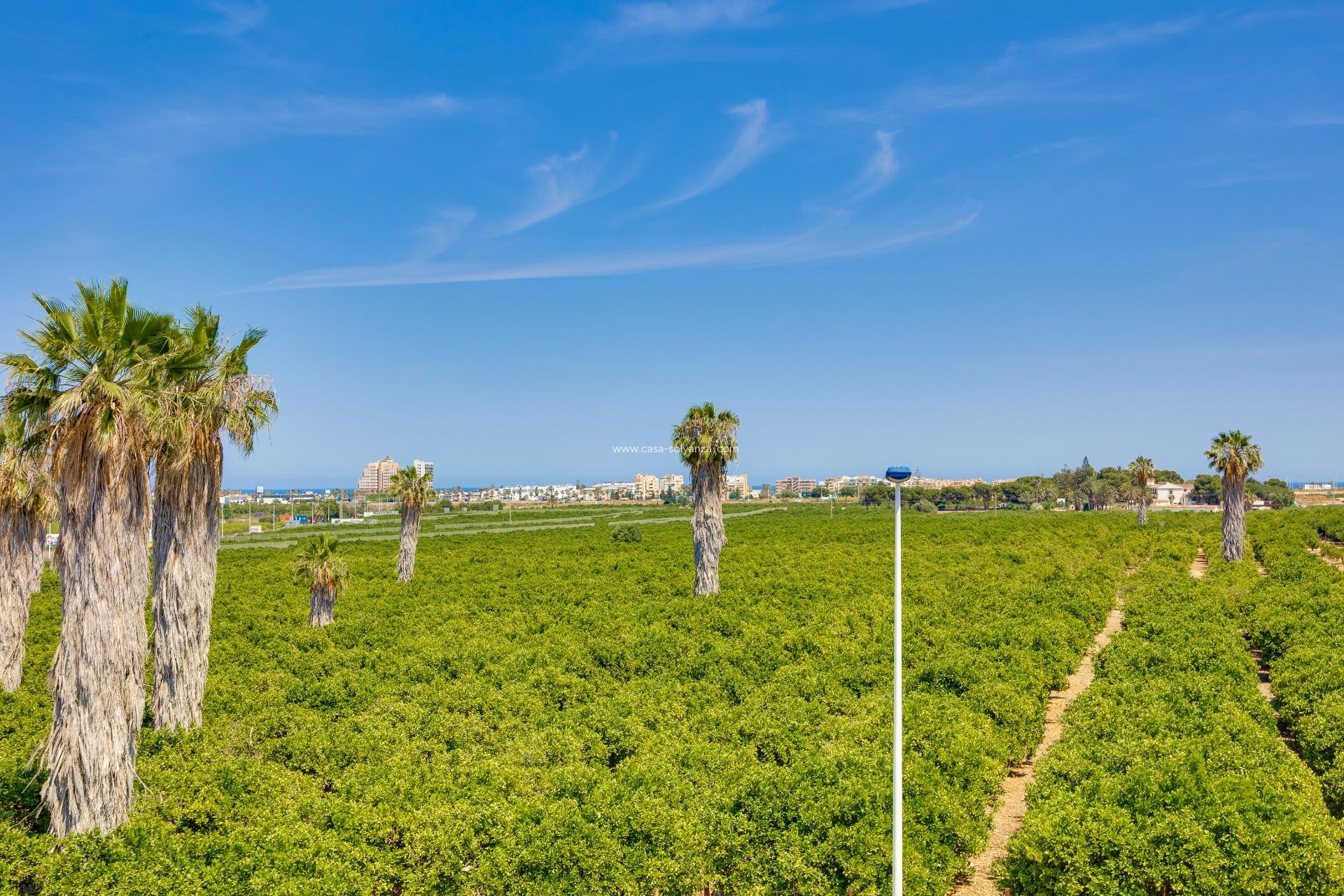 Reventa - Adosado - Torrevieja - Los Balcones