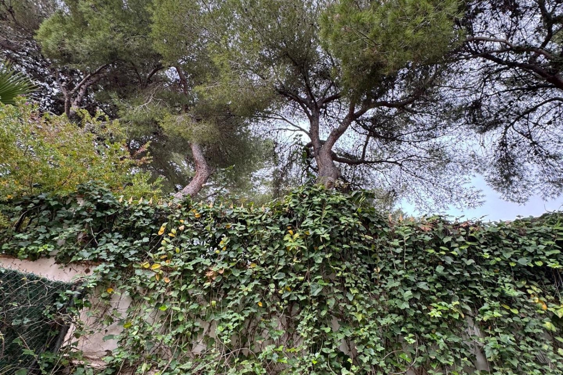 Reventa - Adosado - Torrevieja - Punta Prima