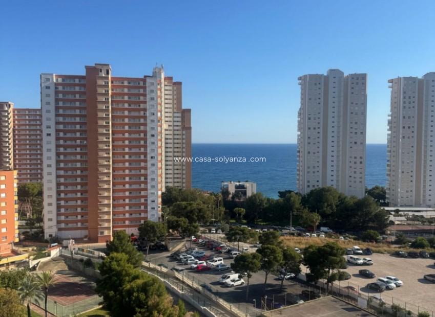 Reventa - Apartamento / piso - Benidorm - Costa Blanca