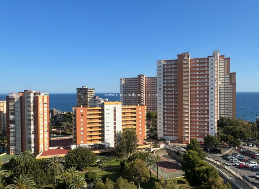 Reventa - Apartamento / piso - Benidorm - Costa Blanca