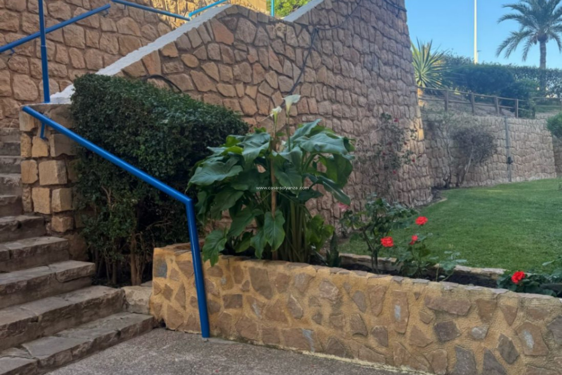 Reventa - Apartamento / piso - Benidorm - Costa Blanca