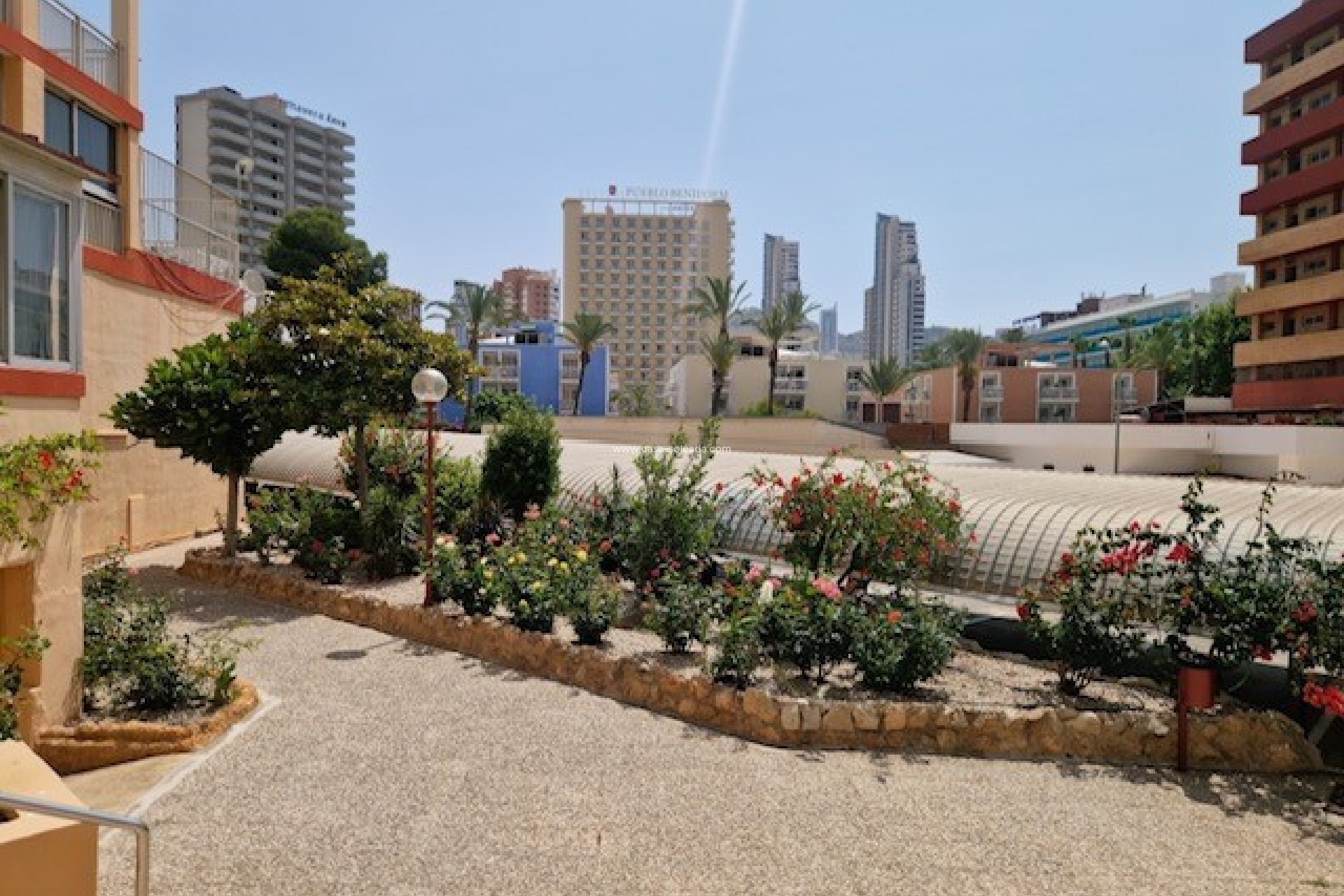 Reventa - Apartamento / piso - Benidorm - Costa Blanca