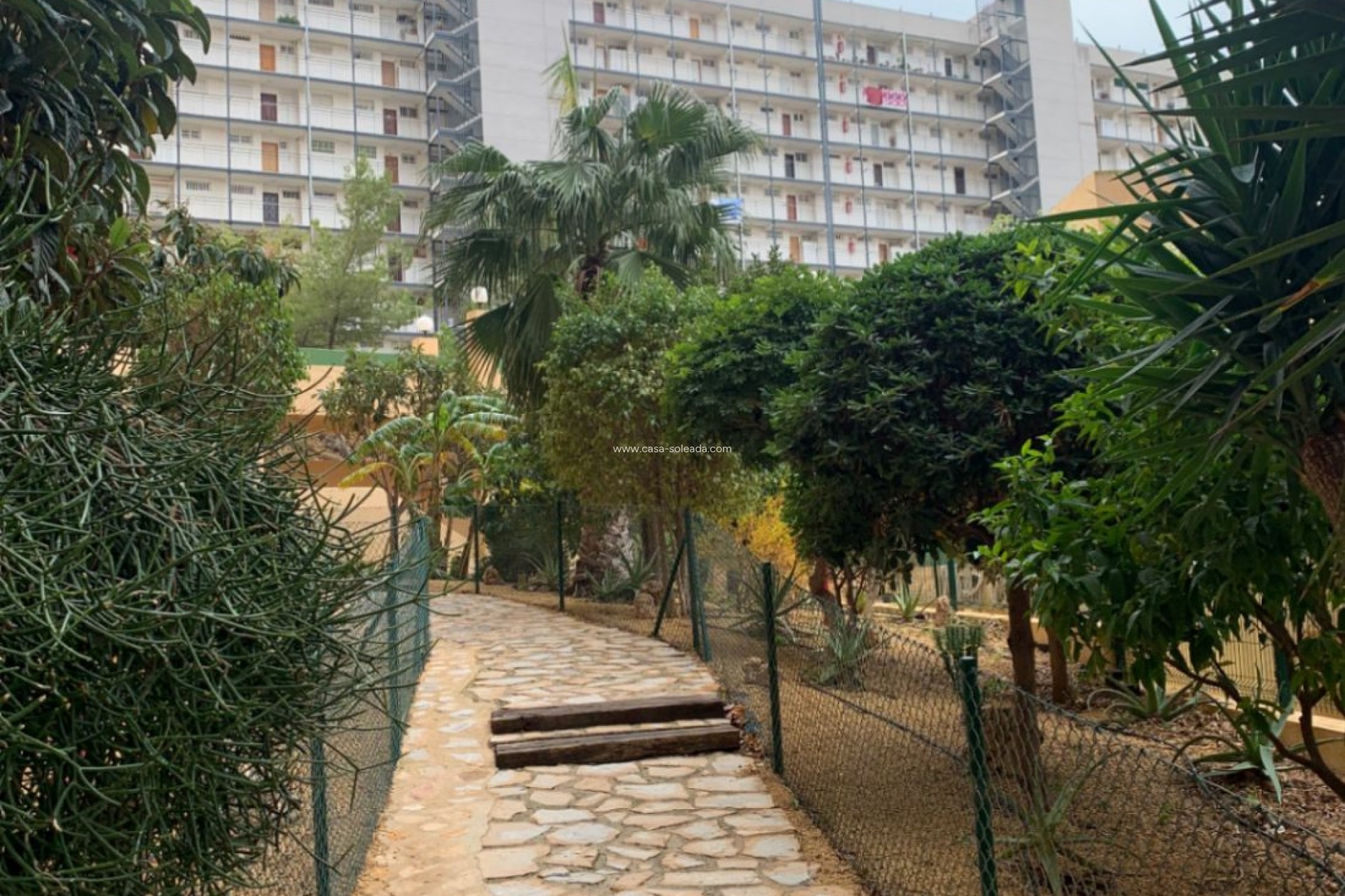 Reventa - Apartamento / piso - Benidorm - Costa Blanca